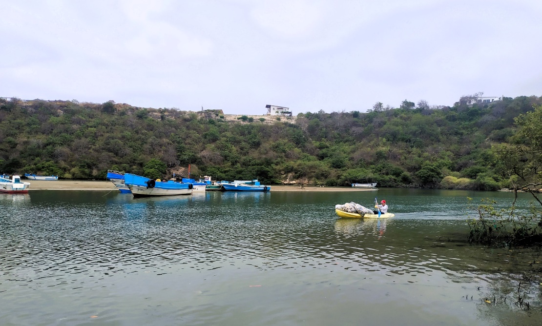 El Manglar el Palmar visto desde una lancha