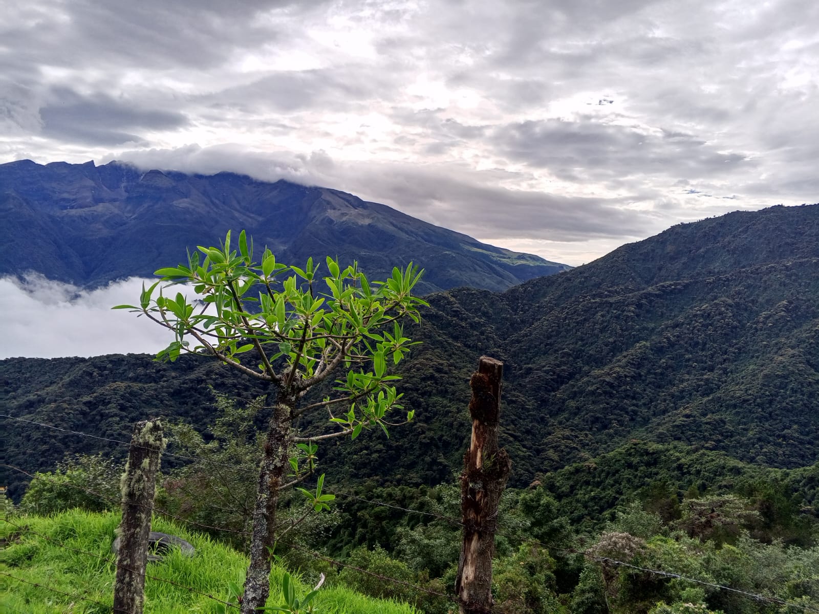 Fotografía de turismo Santa Elena cuencos de paja toquilla